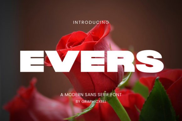 Evers Typeface Review for Web Design