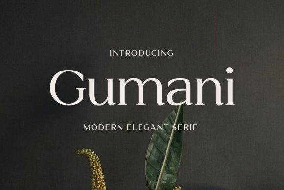 Gumani: The Serif Typeface for Bold Branding