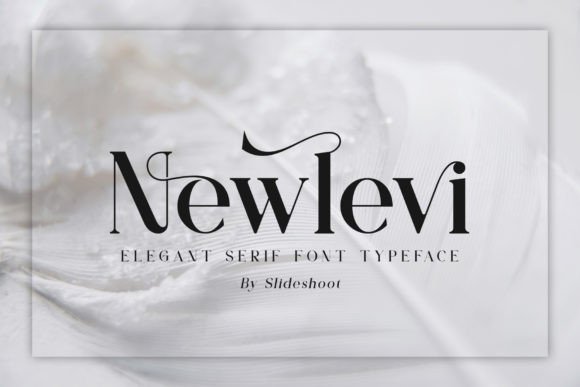 Newlevi: A Refined Serif Font for Modern Web Design
